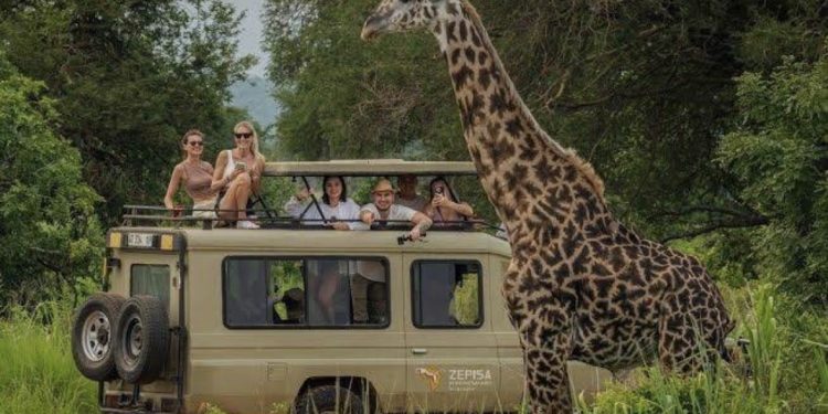 Safari Savvy: Your Essential Guide to Traveling Smarter
